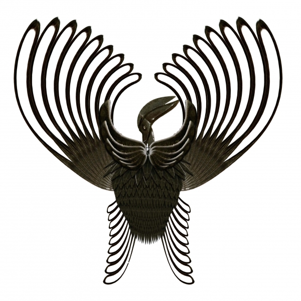 Creation of Phoenix Rising: Step 10